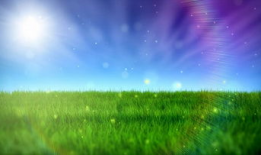 青青草原免费在线视频,畅享草原风情，尽享视觉盛宴